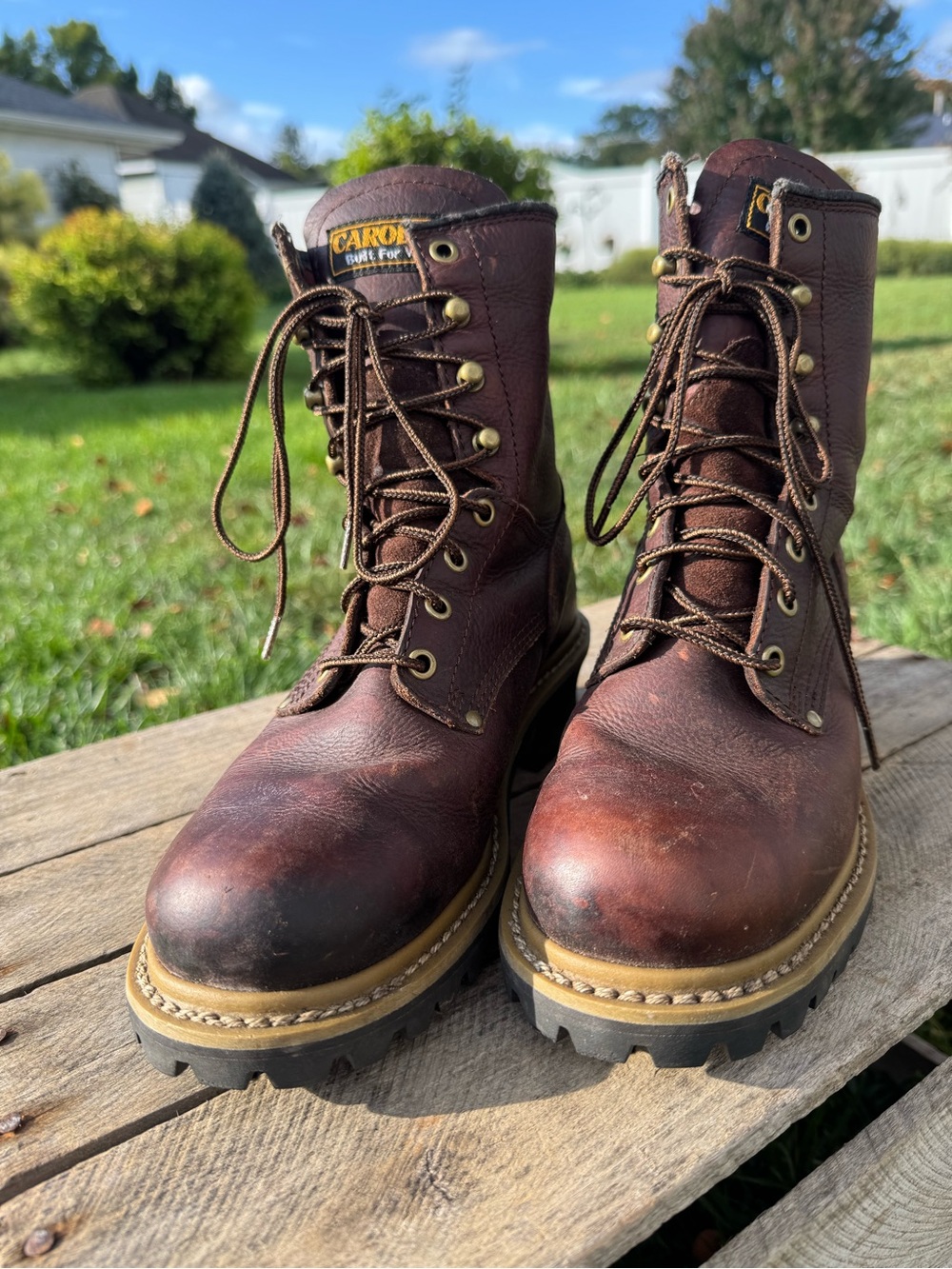 Carolina Elm CA421 Women’s 8” Logger Work Boots in dark brown leather.